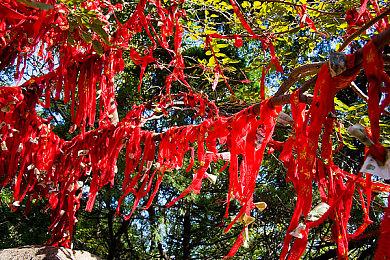 《遗迹2》新预告片：洛桑世界和杜兰困境